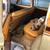 1952 chevrolet tin woody wagon 10 thumbnail