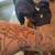 Beginner Tattoo artist. U won't be disappointed 3 thumbnail