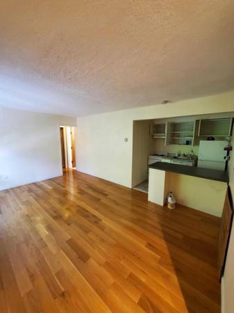 $2,400 / 1br - 🌟 Moderno 1BR 1 baño c/ armario walk-in + estacionamiento + calefacción/agua caliente incluidos - Paso (Cambridge)63828557065345121