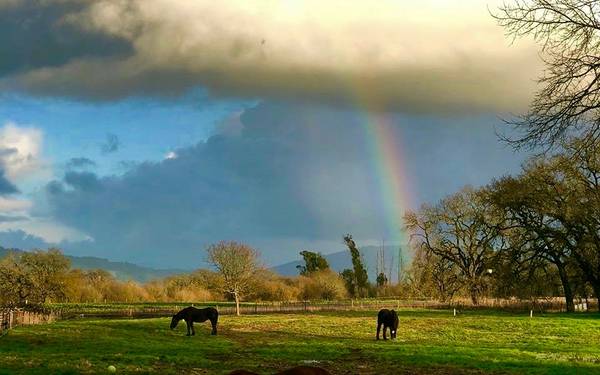 $2,500 Tiny House or Trailer Space for lease with Farm Animal Pastures/Barn (sebastopol)63868039837315120