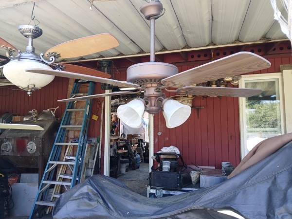 Ceiling Fan 1
