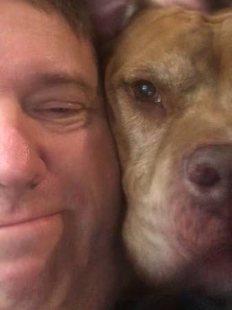 Dog sitting and walking service 1