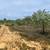 Owner Finance Avail! 2+ acre For Sale! No Restrictions, No Flood Zone! 1 thumbnail