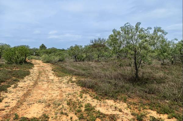 Owner Finance Avail! 2+ acre For Sale! No Restrictions, No Flood Zone! 1