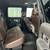 ** 2011 Ford F-150 Platinum 4x4 4dr SB Pickup ** 10 thumbnail