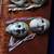 Dolls, misc types 5 thumbnail