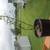 Apple Tree 4 thumbnail