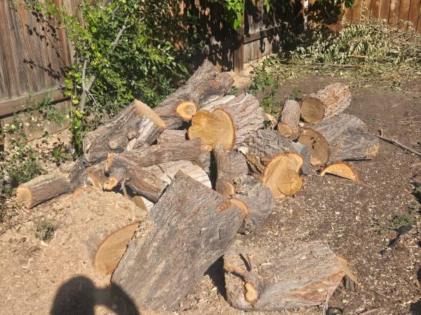 Lumber - no cost 1