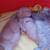 Kittens 3 thumbnail