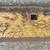 Caterpillar Cutting Edge/Blade DH2 063! 52”  x 5 1/2” x 1” Thick! 4 thumbnail