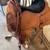 16” seat Circle Y team roping saddle 1 thumbnail
