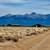10 ACRES OFF GRID RANCH BY SAND DUNES!!! 19 thumbnail