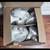 75-Watt Equivalent BR40 Dimmable LED Light Bulb Soft White (12-Pack) 4 thumbnail