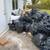 TRASH &JUNK REMOVAL  FAST SAME DAY SERVICE 4 thumbnail