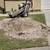 Stump grinder 2 thumbnail