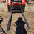 SKID STEER PALLET FORK 5 FT LONG $645 2 thumbnail