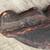 Antique Large Hand Carved Wood Cherub Putti/Putto 1780 - 1820 17 thumbnail