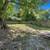 DARLING Rock Hill Bungalow for rent~! 5 thumbnail