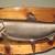TAXIDERMY KING SALMON (CHINOOK)w/21 x 48 PROFESSIONAL TAXIDERMY PLAQUE 15 thumbnail