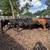 Bred cows 13 thumbnail