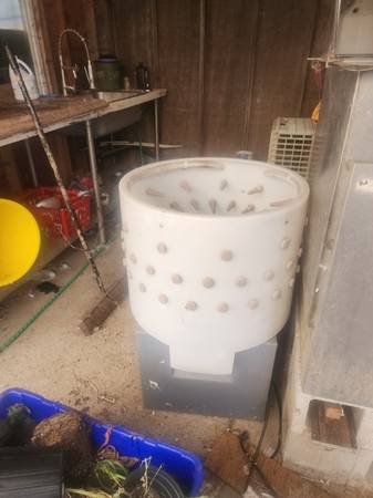 Chicken processing equipment 1