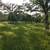 10.06 Acres with AG Water Ditch 10 thumbnail