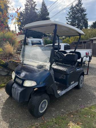 Gas golf cart 1