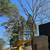 🌲🌲🌲J&J tree service🌲🌲🌲 5 thumbnail