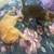 Free cats 11 thumbnail