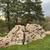 Large MOSS Rocks, Boulders- Landscaping, Waterfall, Property Divider 5 thumbnail