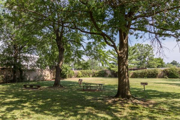 $1,945 / 2br - 880ft2 - Los sueños sí se hacen realidad: armarios reales, ¡excelente vista! (Washington)63822291697793120