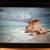 H.P. Elitebook 840 G5 "UNLOCKED" (No BIOS Password!) 8 thumbnail
