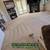 $45|Carpet Cleaning 🤝🏻🙋🏻‍♀️Sofa Cleaning,Tile Cleaning✨️ 9 thumbnail