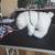 dog grooming table 5 thumbnail