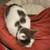 Found Kitten needs a home 1 thumbnail