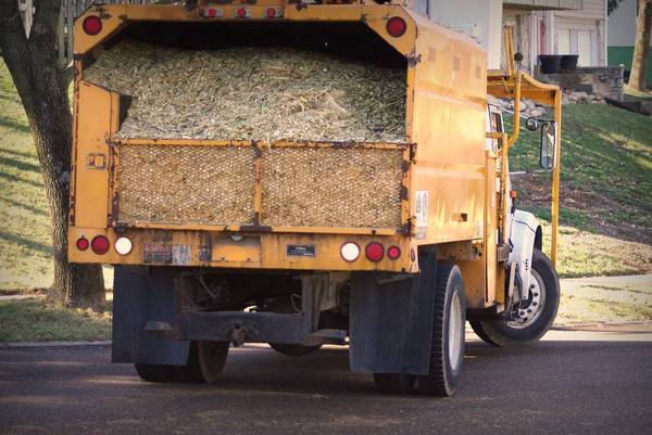 Wanted! Your wood chips Call or Text 1