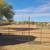 Horse Boarding in far East Mesa 4 thumbnail