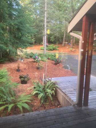 Fir fine or coarse mulch 1