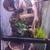 Crested gecko rehoming pet 7 thumbnail