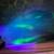 GFP Axolotls 12 thumbnail