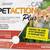 Pet Action Plus Cat Flea & Tick Applicator over 1.5 lb-4 DOSES 1 thumbnail