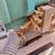 Tenant 1610 Floor Scrubber 9 thumbnail