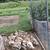 Austrailian spotted ducks 1 thumbnail