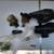 Paintball Lot - Ariakon paintball marker and Other Items 4 thumbnail