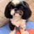 Shihtzu boy 4 thumbnail