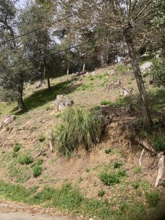 $99,000 / 7091 ft² - Construya su sueño en Shepherd Canyon: donde la naturaleza se encuentra con la vida de lujo (Oakland Piedmont / Montclair)