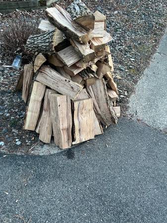 Split Pine Firewood 1