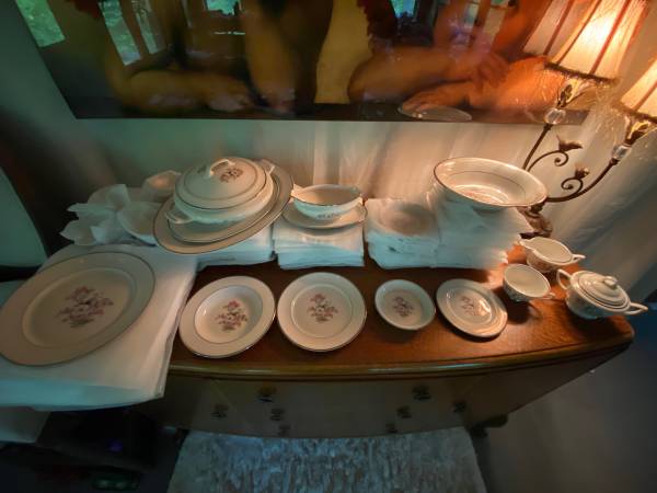 Embassy USA Vitrified China EMB63 floral pattern platinum band 1