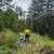 Tree work property clearing STUMP GRINDING, CHIPPING, firewood splitting weed wh 20 thumbnail