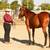 Your next Amazing Partner-  Talented all around horse 6 thumbnail